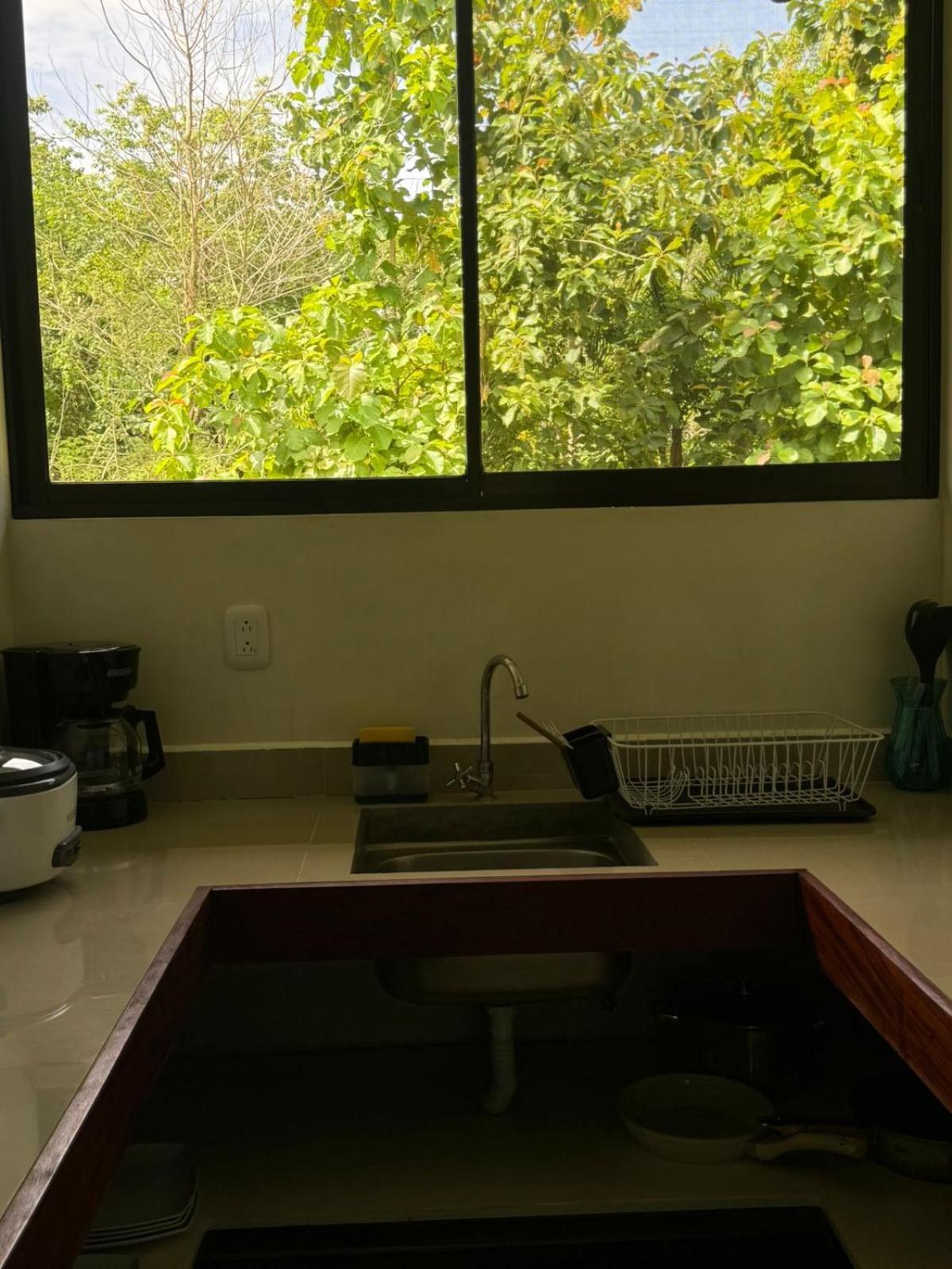Luz De Estrella Studios Cabuya  Buitenkant foto