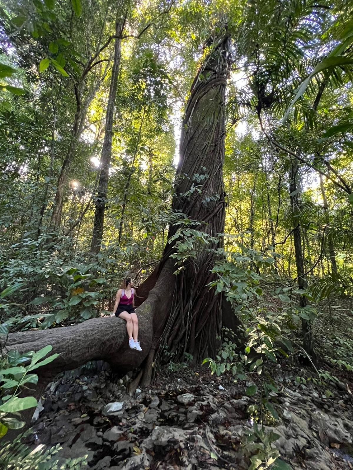 Luz De Estrella Studios Cabuya  Buitenkant foto